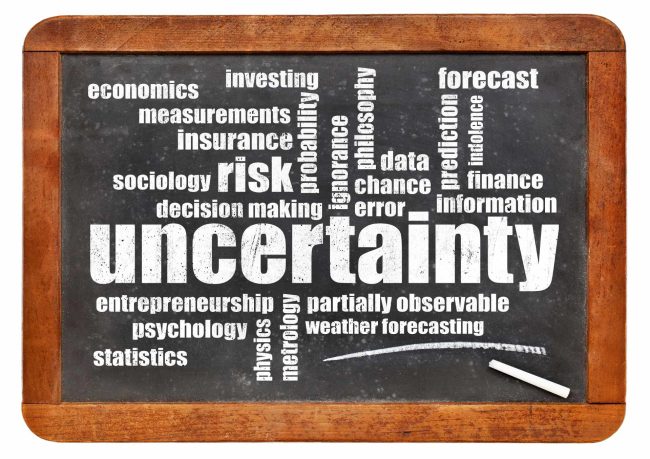 uncertainty and risk word cloud